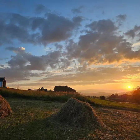 公寓 Lipowe Apartmenty *