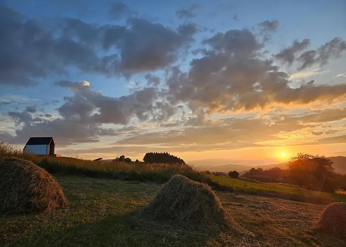 Appartement Lipowe Apartmenty *